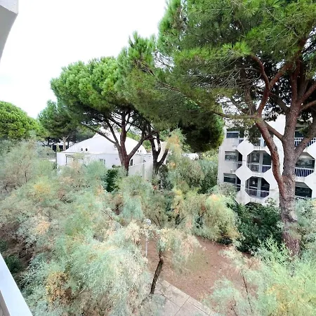 Grand Studio En Centre Ville Et A 50 Metres Du Port, Climatise La Grande-Motte Exterior photo