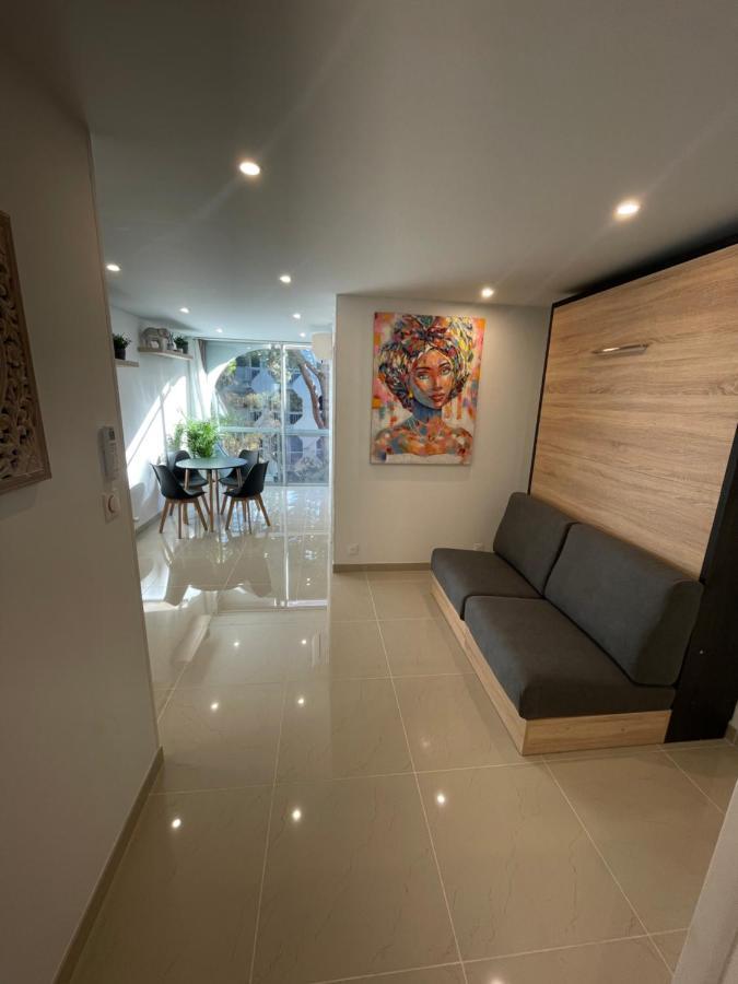 Apartment Grand En Centre Et A 50 Metres Du Port, Climatise *
