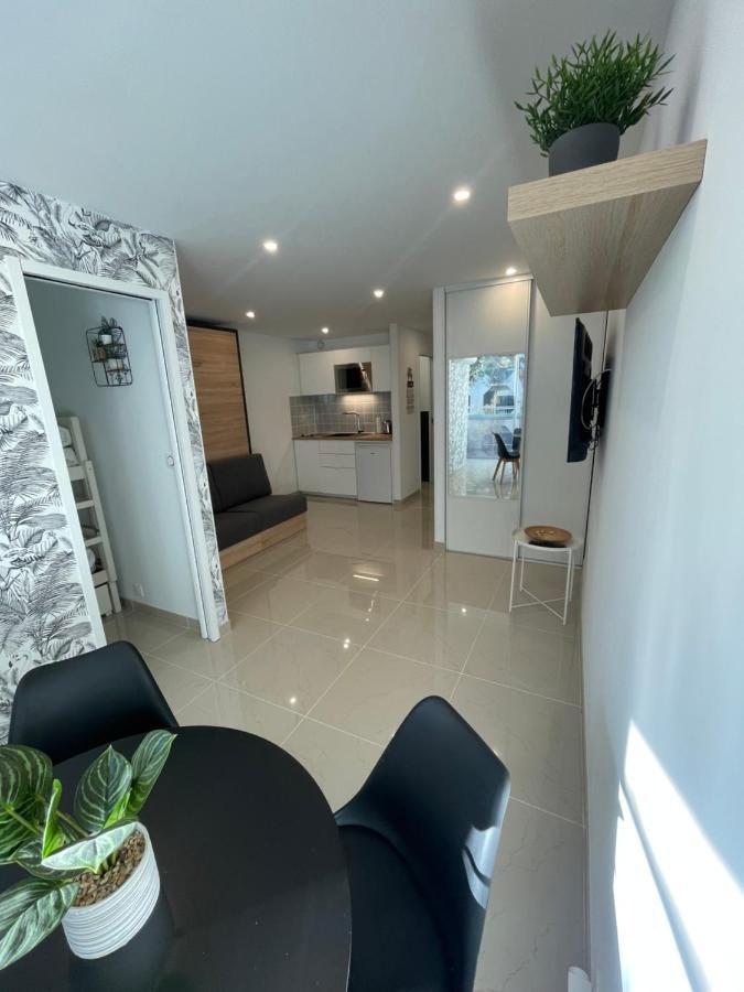 Apartment Grand En Centre Et A 50 Metres Du Port, Climatise *