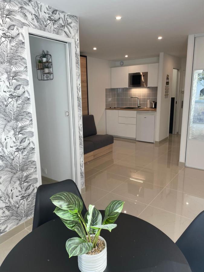 Apartment Grand En Centre Et A 50 Metres Du Port, Climatise *